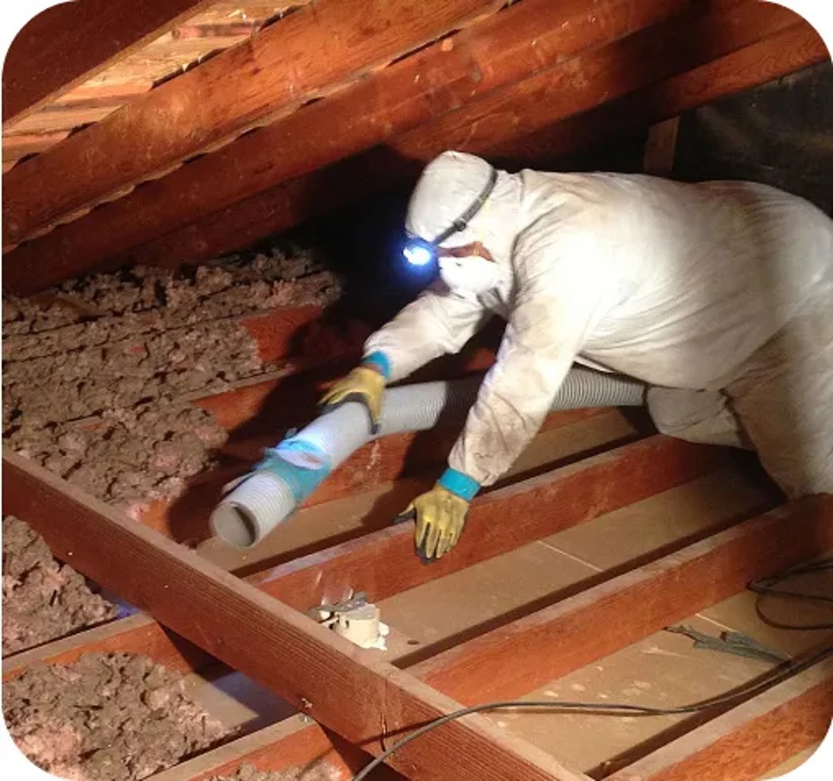 Insulation Removal in Fall