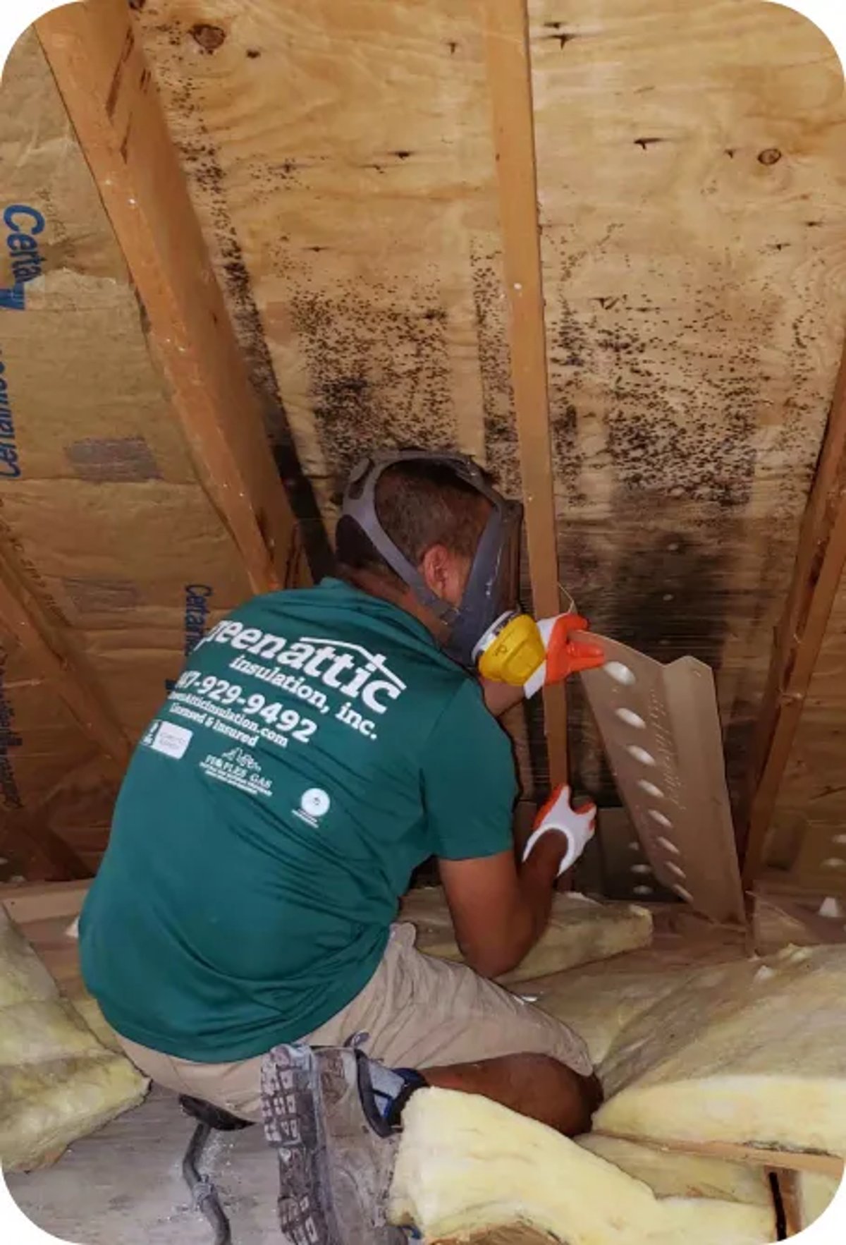 Green Attic Insulation Services Chicago