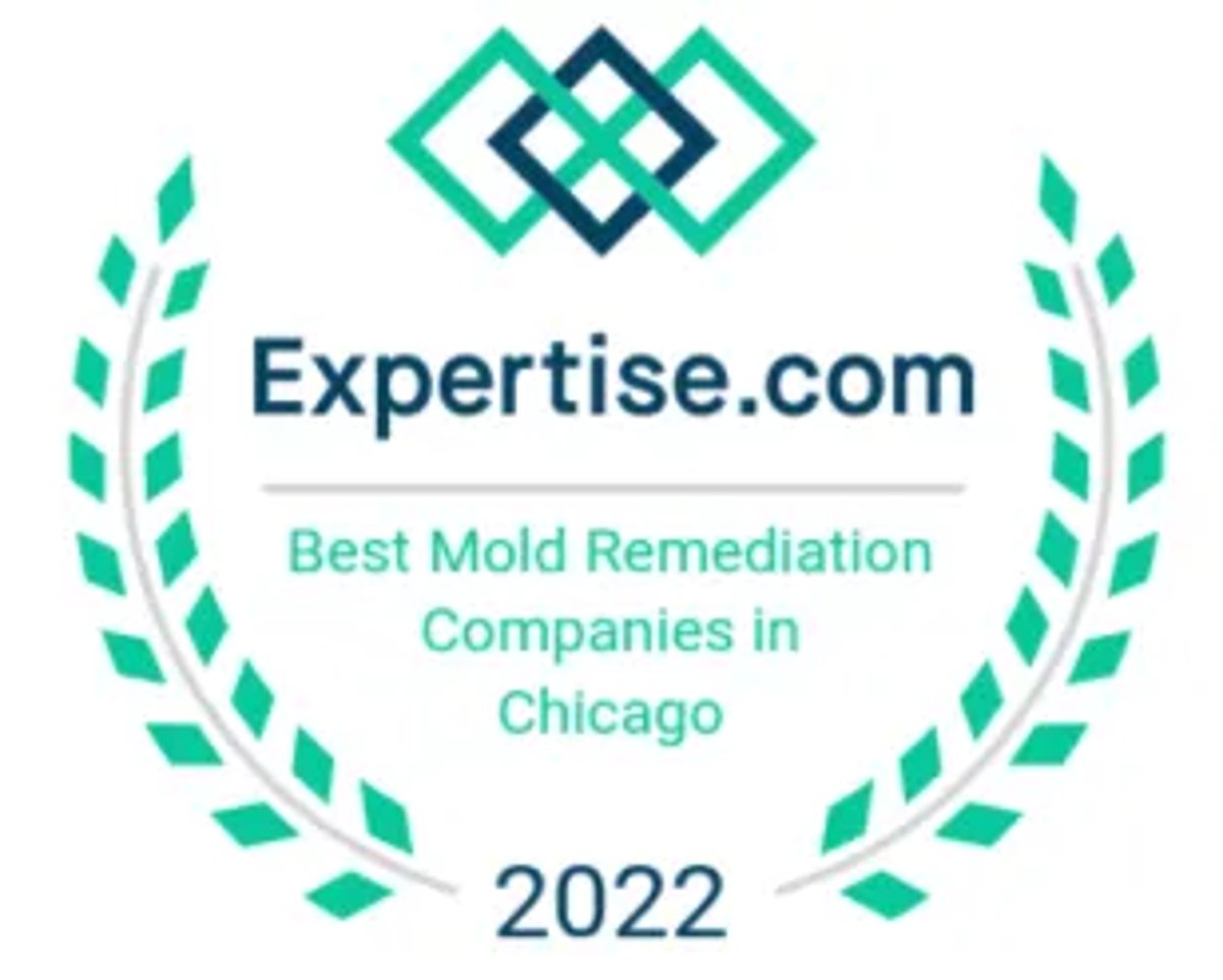 Best Mold Remedation Companies in Chicago Certificate