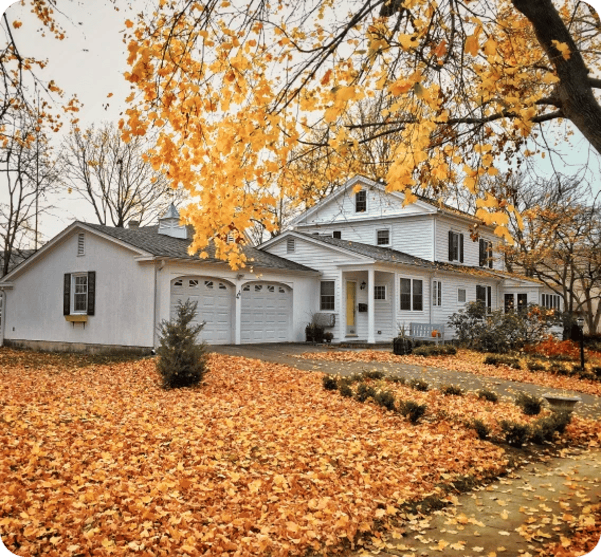 Fall Insulation Season