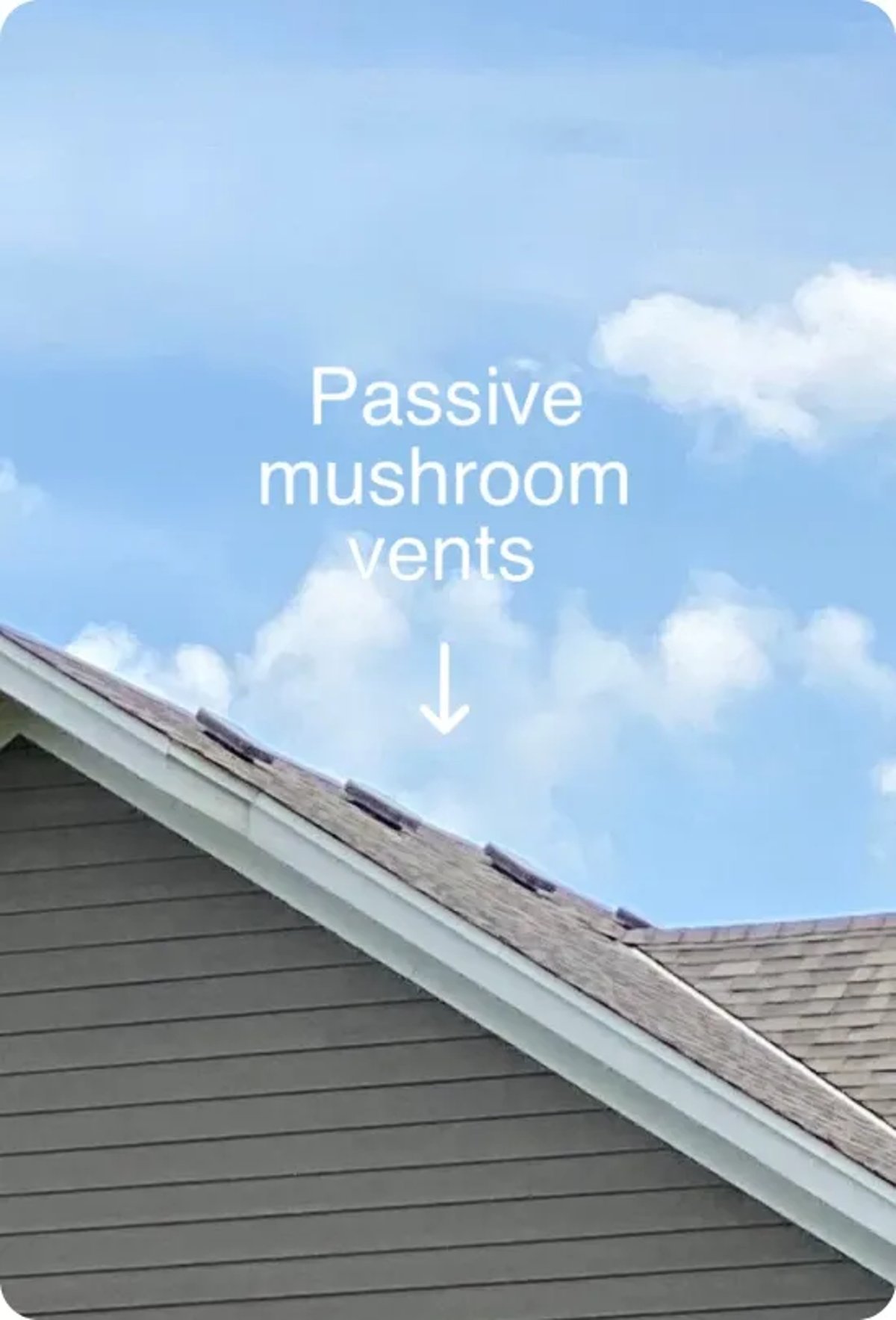 Roof with Passive Mushroom Vents Installed
