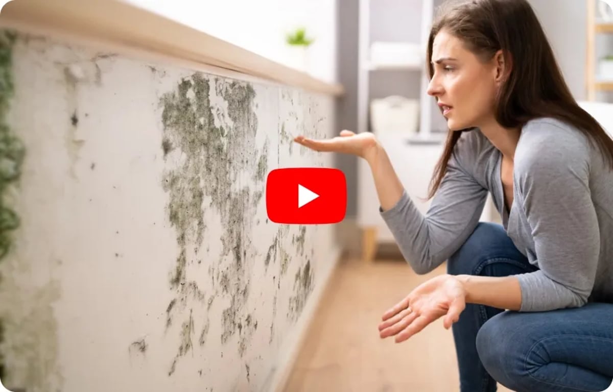 A Women Looks at Moldy Wall