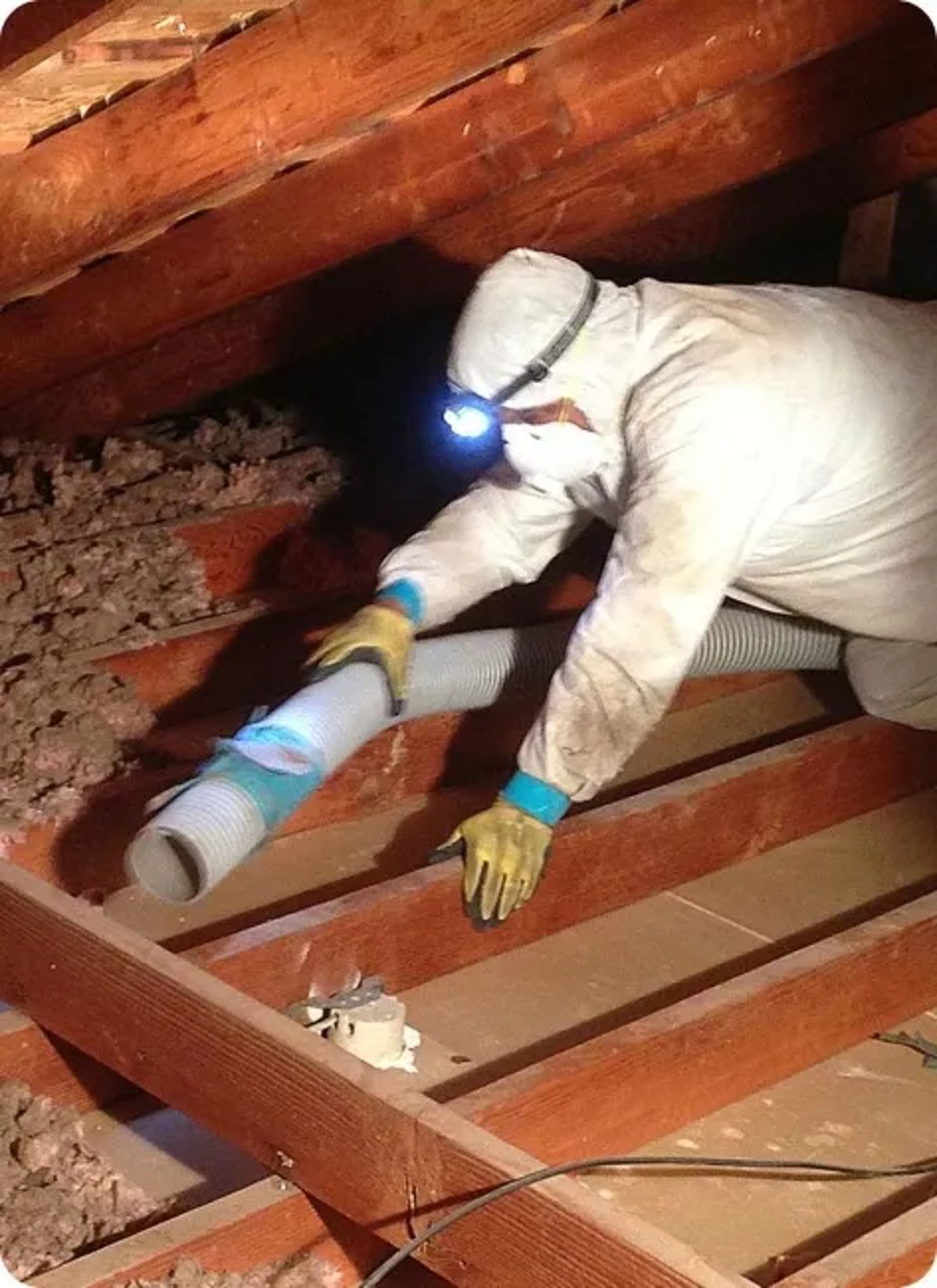 Insulation Removal Service