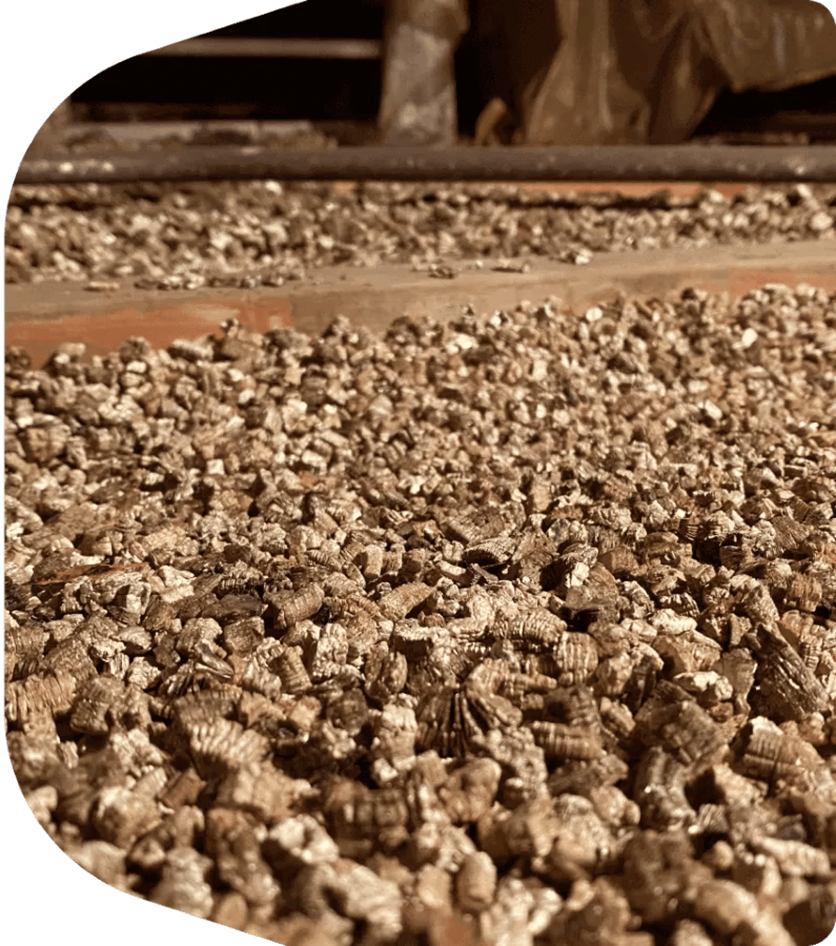 Vermiculite Insulation Removal
