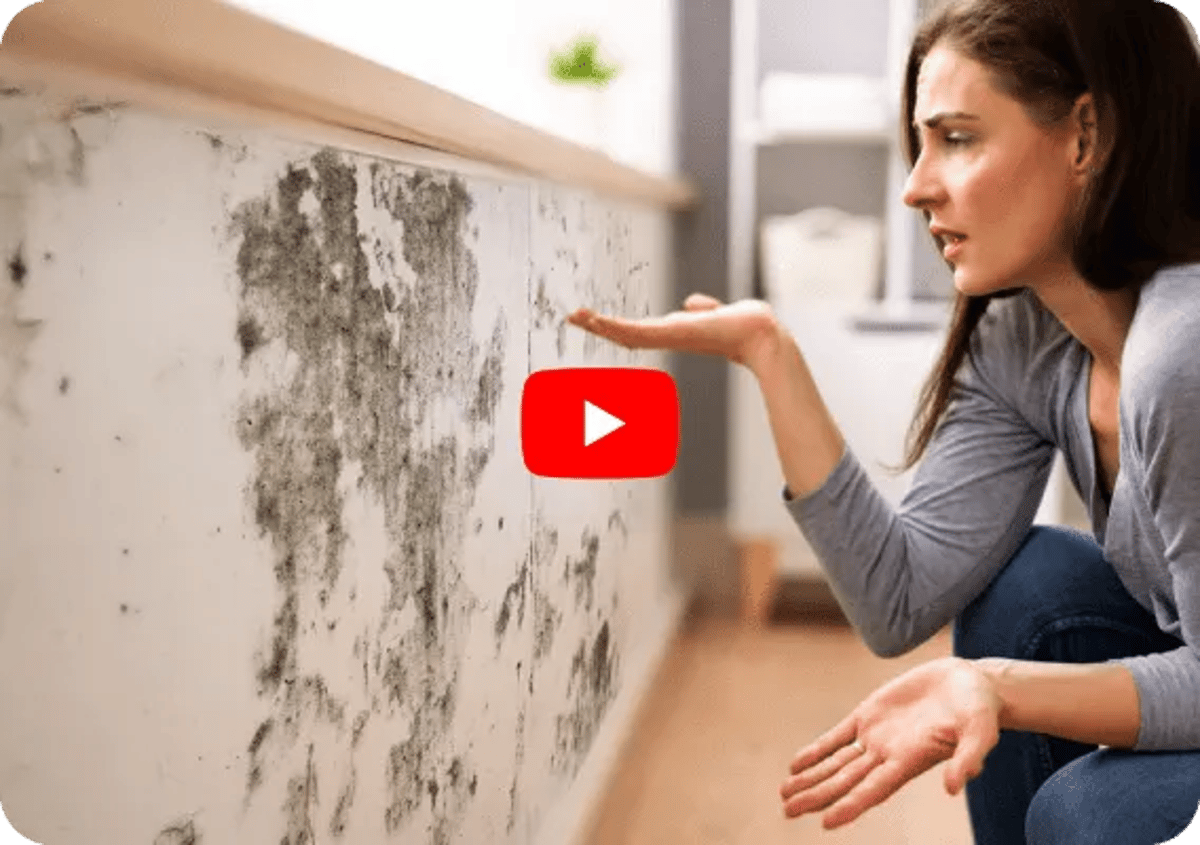 Mold Growing on The Sheathing of Wall-Youtube Thumbnail