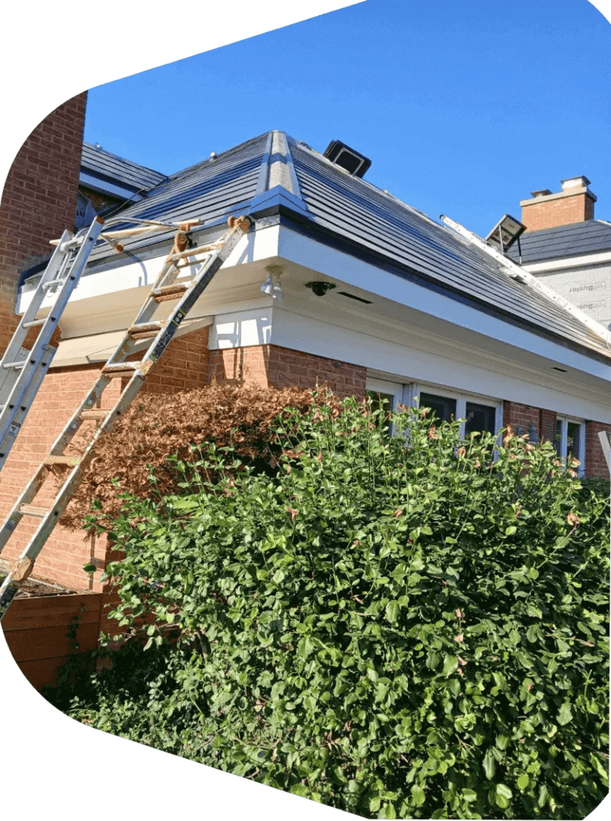 Roof Replacement - Green Attic Project
