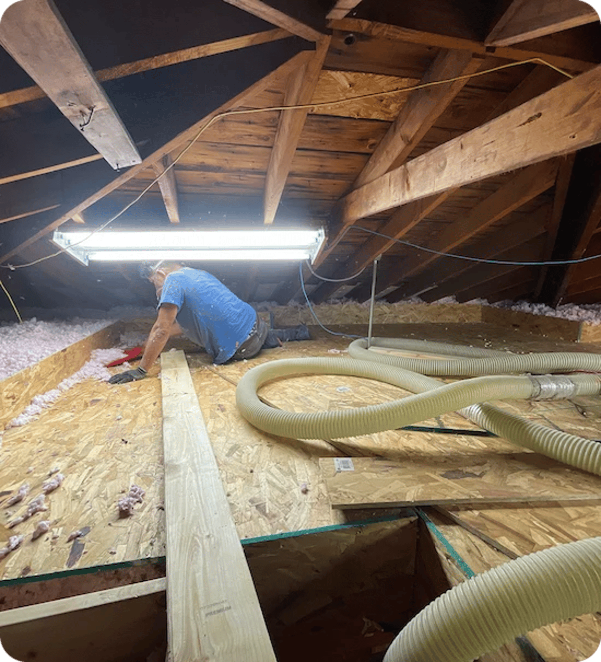 Attic Insulation Replacement