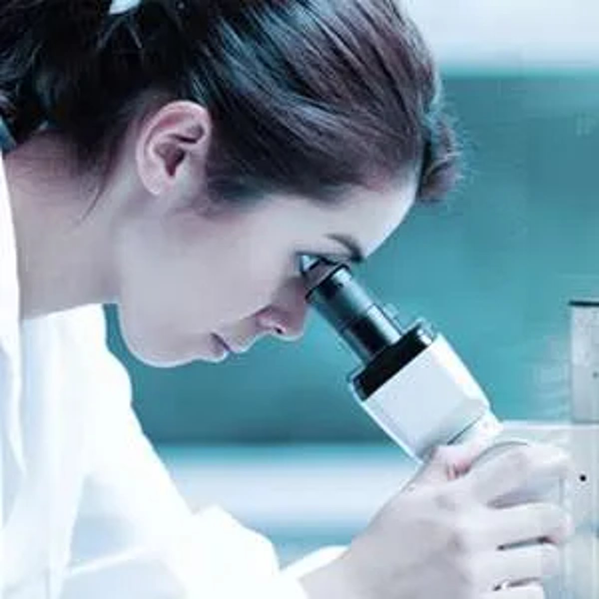 Vermiculite Insulation Testing
