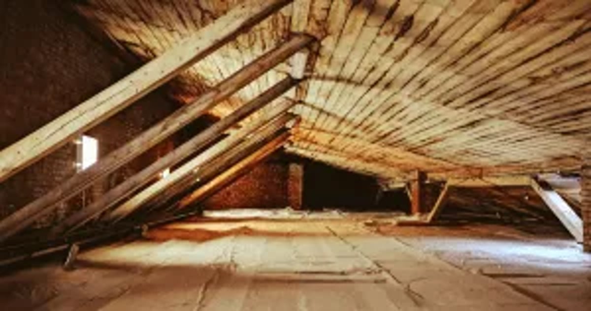 Attic Inspection In Home