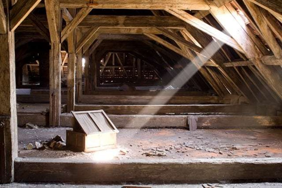 Identify The Cause Of Mold Growth