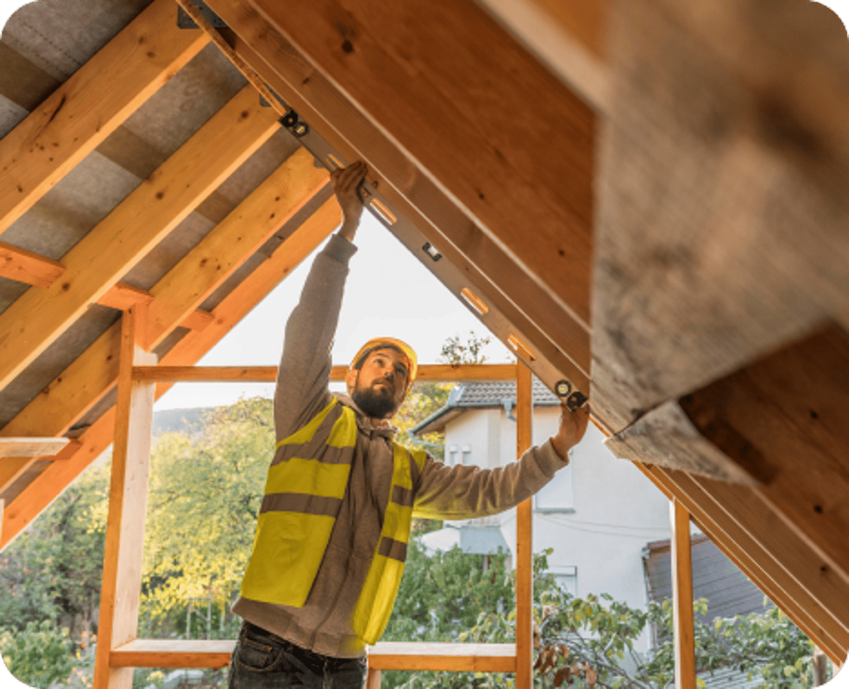 Combating Mold and Mildew