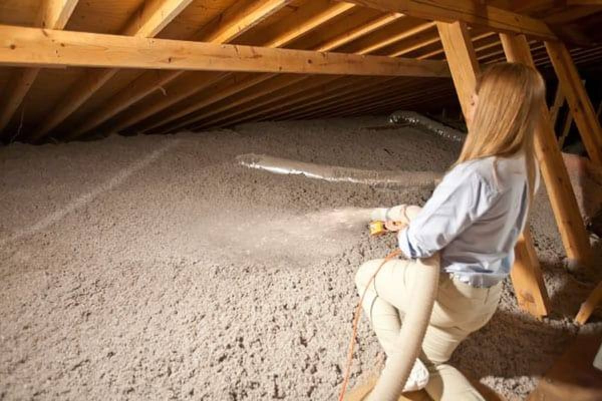 Recommended Treatments On How to Get Rid of Squirrels in Attic?