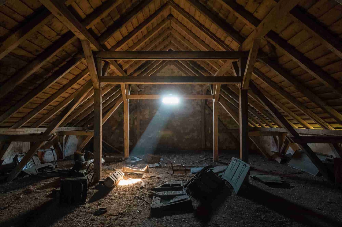 How To Get Rid Of Squirrels In The Attic?