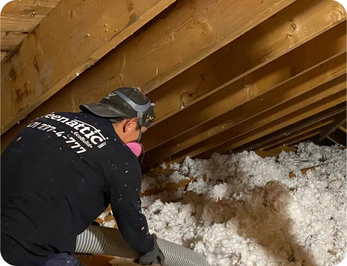 Insulation Removal