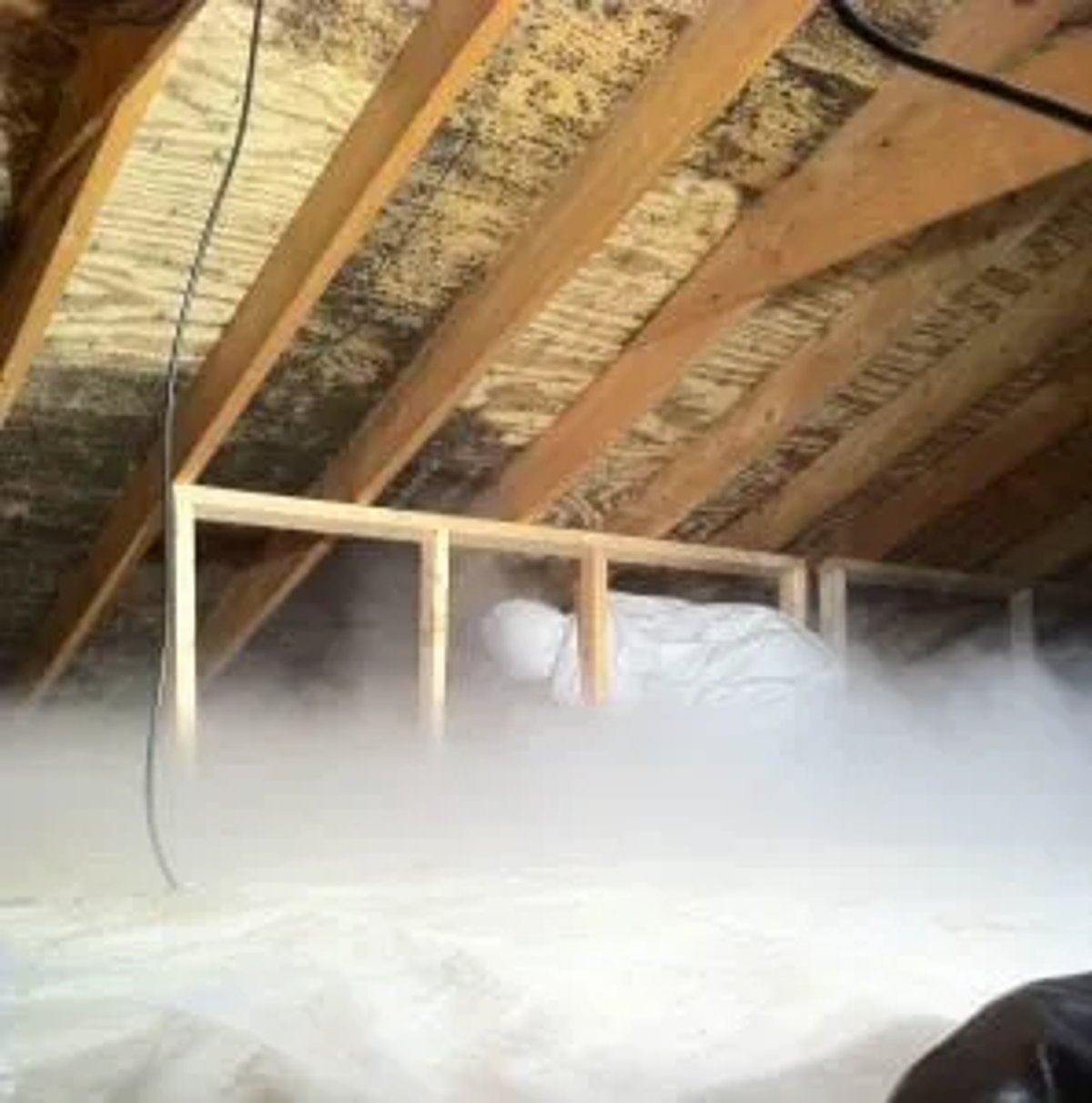 How To Remove Mold From Attic Plywood