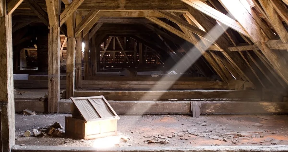 Understanding Attic Cleaning Cost