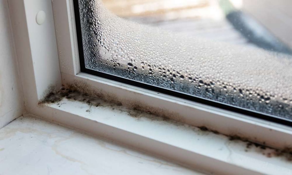Seal Off Access Points To Prevent Future Mold Growth