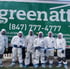Effective Mold Removal 5 Steps to Safeguard Your Attic