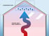 Condensation on Ceiling: Causes, Solutions and Prevention