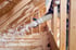 Insulation For Houses: The Ultimate Green Guide