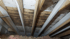 Understanding Attic Mold: A Green Attic Insulation Guide