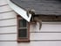 How To Get Rid Of Squirrels In Attic? & Keep Them Out for Good
