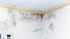 Green Attic Insulation are Your Experts for Mold Detection and Prevention