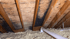 Attic Improvement and Mold Prevention