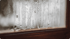 Addressing Home Humidity Issues with Green Attic Insulation