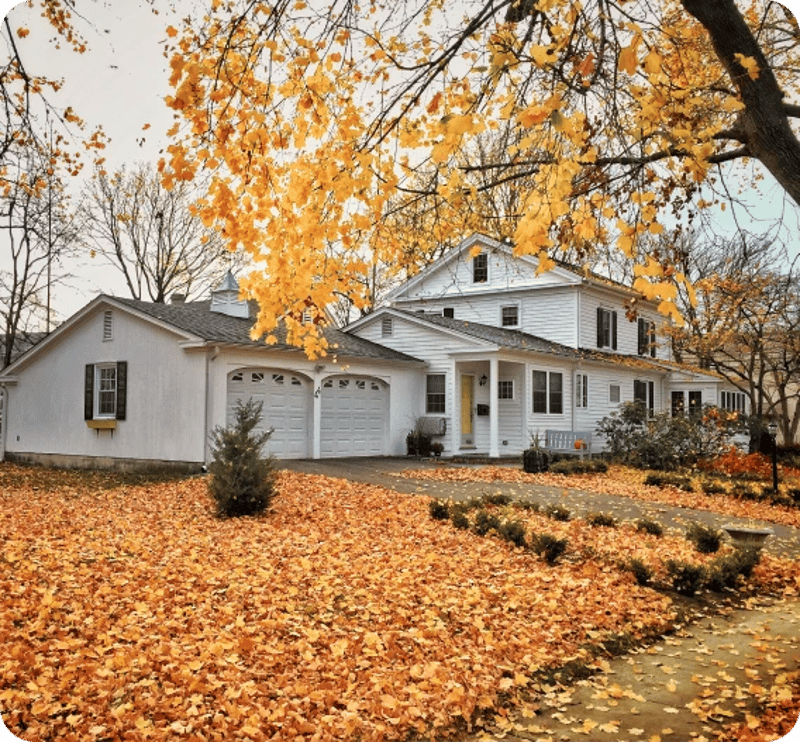Fall Insulation Season