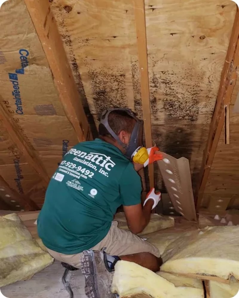Green Attic Field Supervisor Removing an Existing Baffle in the Attic