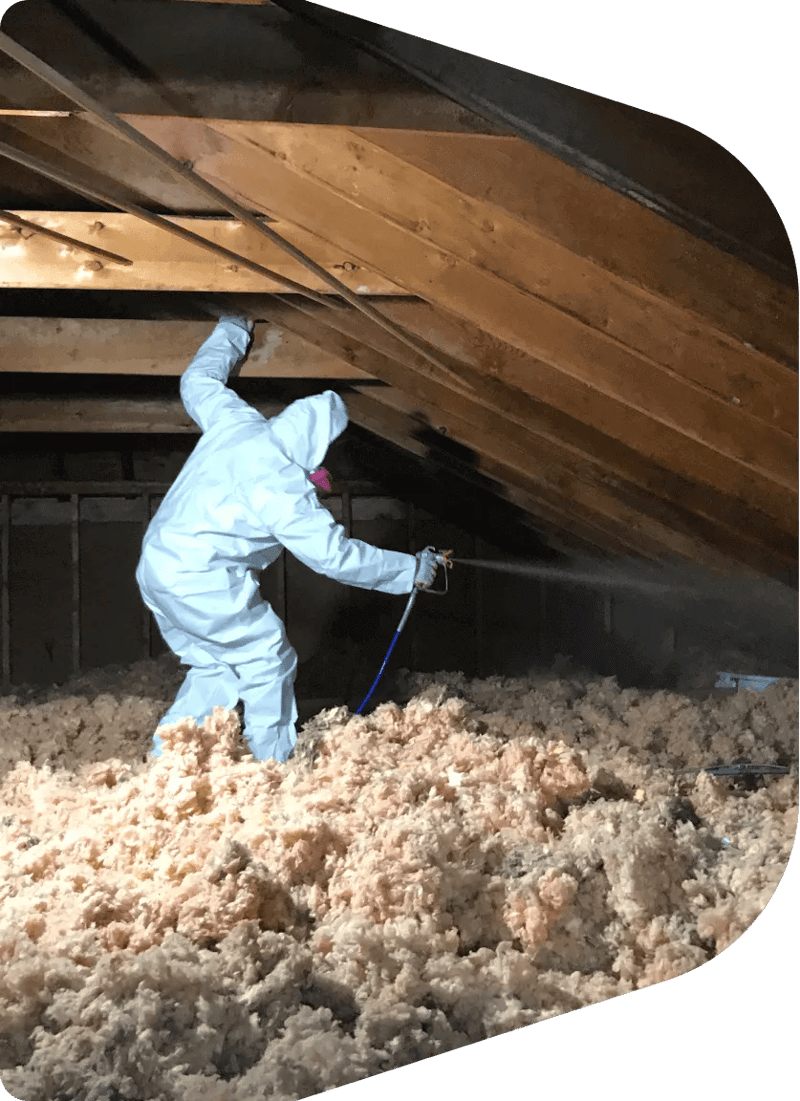 Choosing the Right Animal Infestation Cleanup: Factors to Consider for Cost and Performance