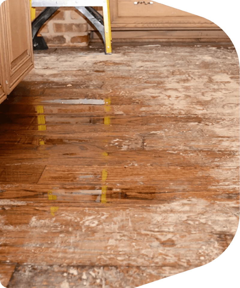 How to Get Rid of Water Damage