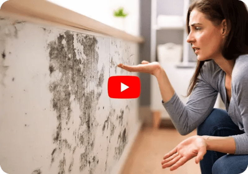 Mold Growing on The Sheathing of Wall-Youtube Thumbnail