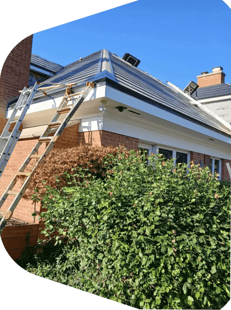 Roof Replacement - Green Attic Project