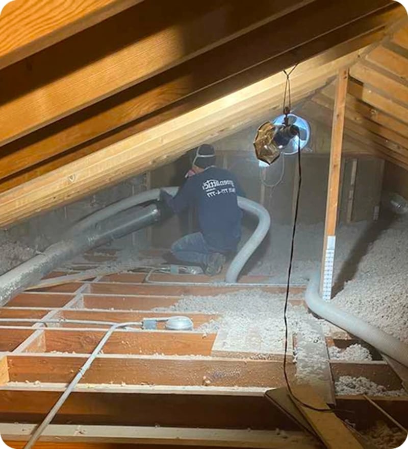Attic Insulation Removal and replacement