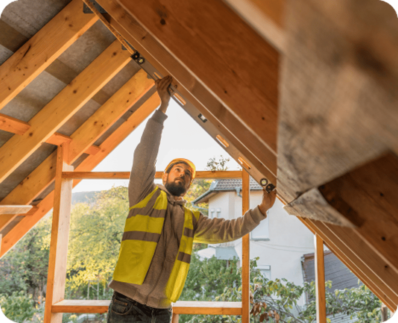 Combating Mold and Mildew