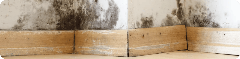 Common Mold-Prone Areas in Your Home