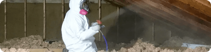 Preventive Measures and Green Attic's Expertise