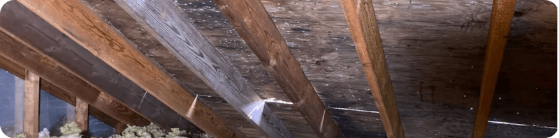 What are Root Causes of Attic Mold?