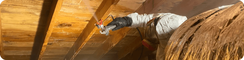 Some Implications of Attic Mold include the following