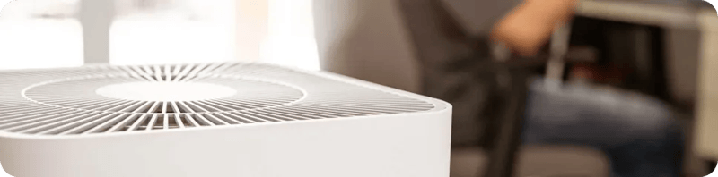 4. Use air purifiers and filters