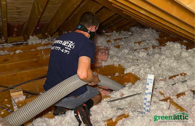 Crawl Space Mold Removal