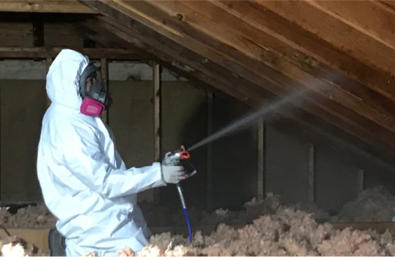 Steps for DIY Mold Removal