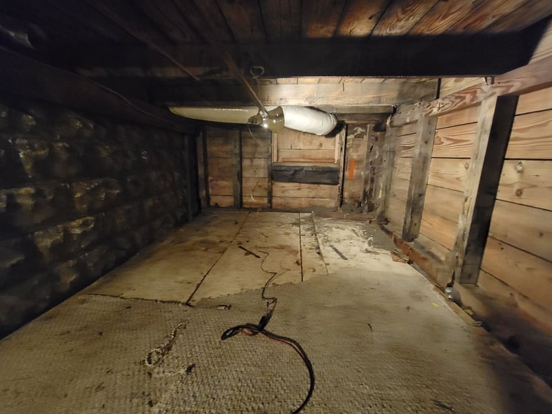 Crawl Space Mold Removal