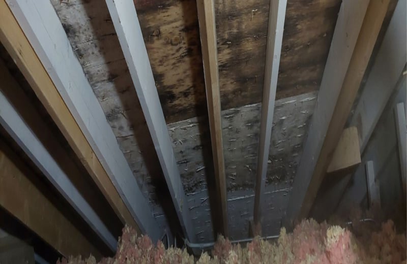 Where to check for mold in the crawl space