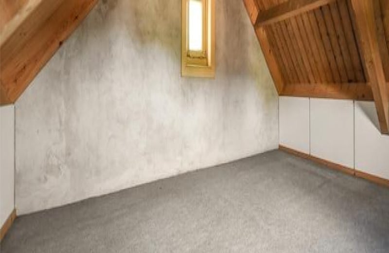 Maintaining Your Chicago Attic After Cleaning