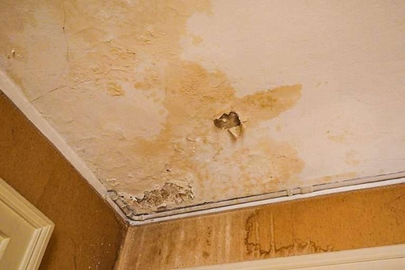 moisture on ceiling